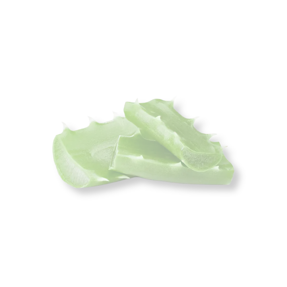 aloe vera plant split in two