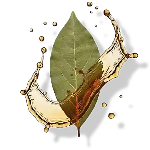 Bay leaf with rum