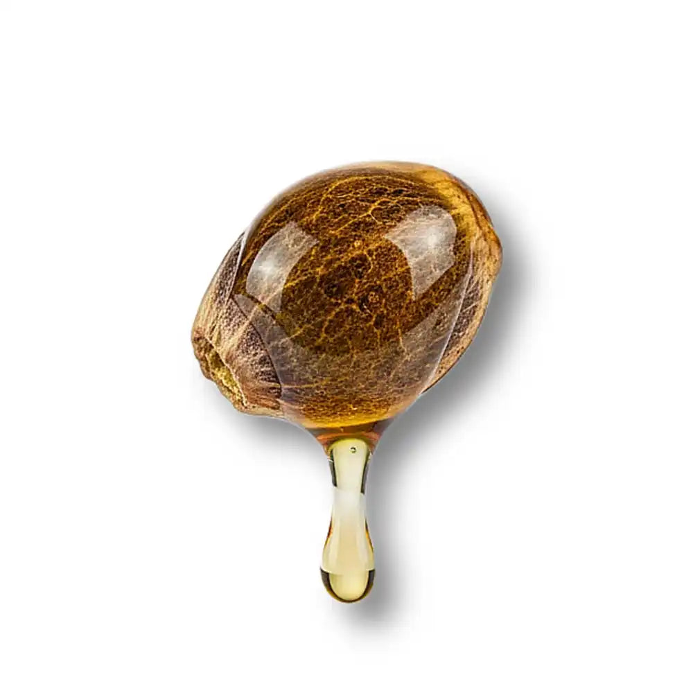 Hemp seed oil