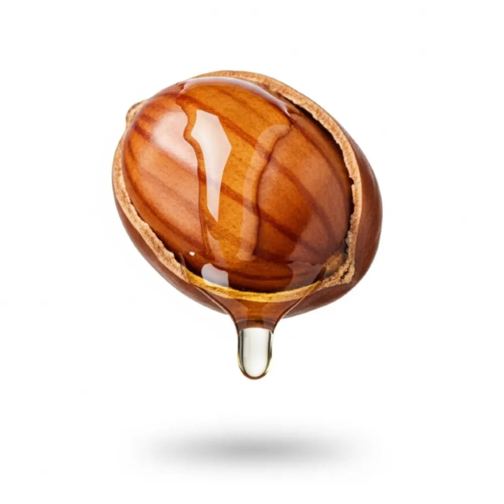 Jojoba Nut with jojoba oil coming out on a white background