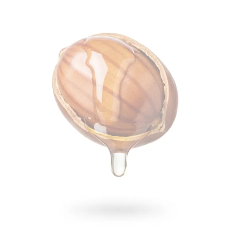 Jojoba Nut with jojoba oil coming out on a white background faded