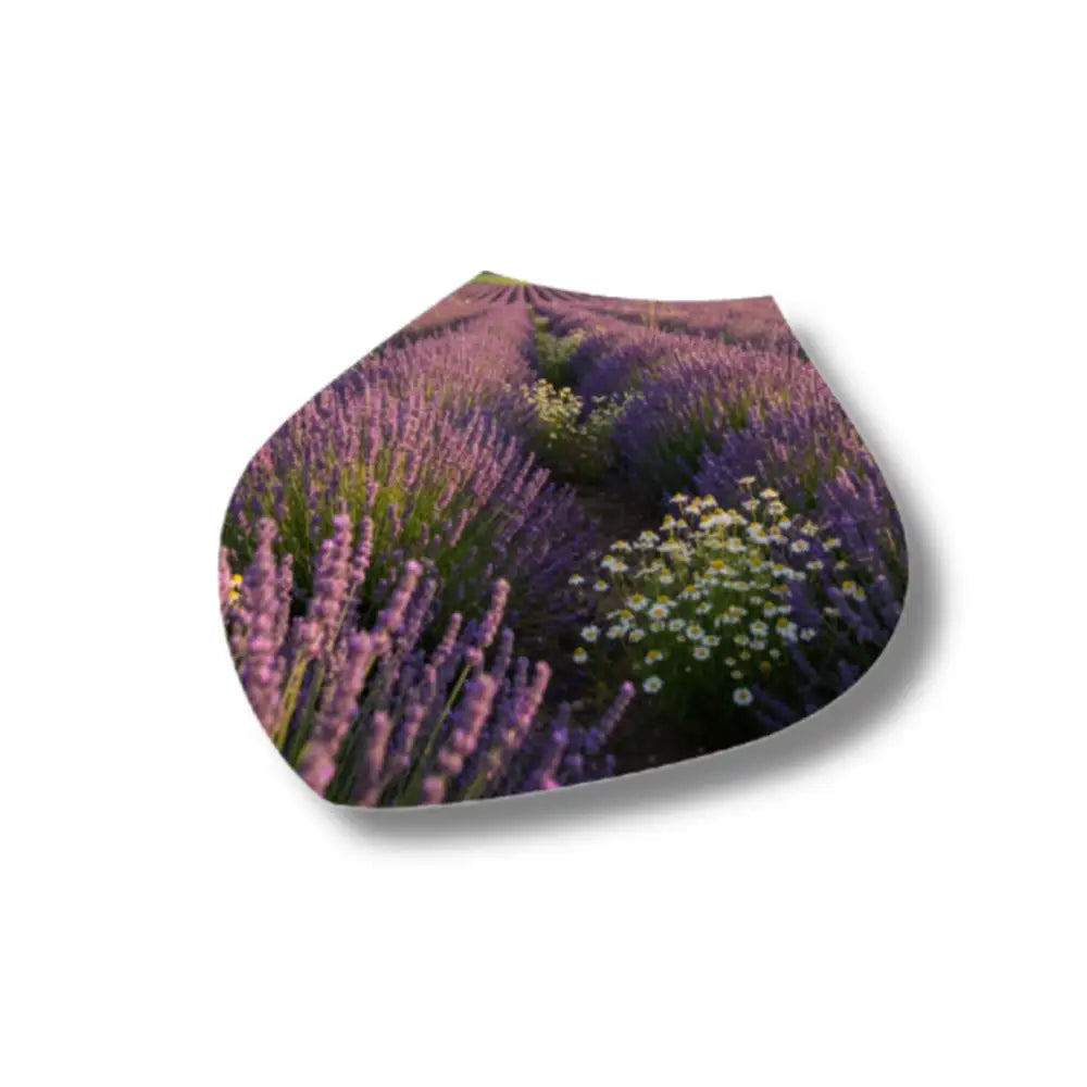 Lavender and chamomile flower small