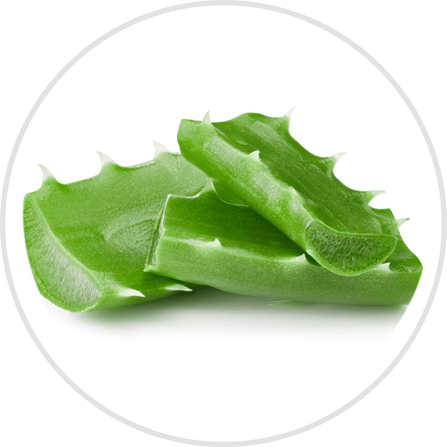 Aloe Vera Men's Face Moisturiser - Onesociety