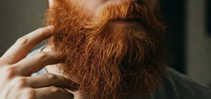 Medium length Beard