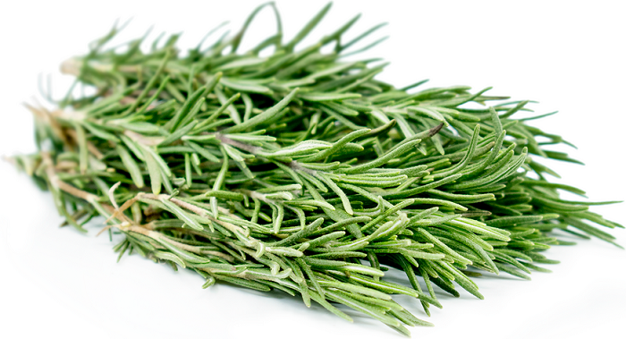 Rosemary essential oil is used in men's grooming products beard butter for natural and vegan friendly ingredients