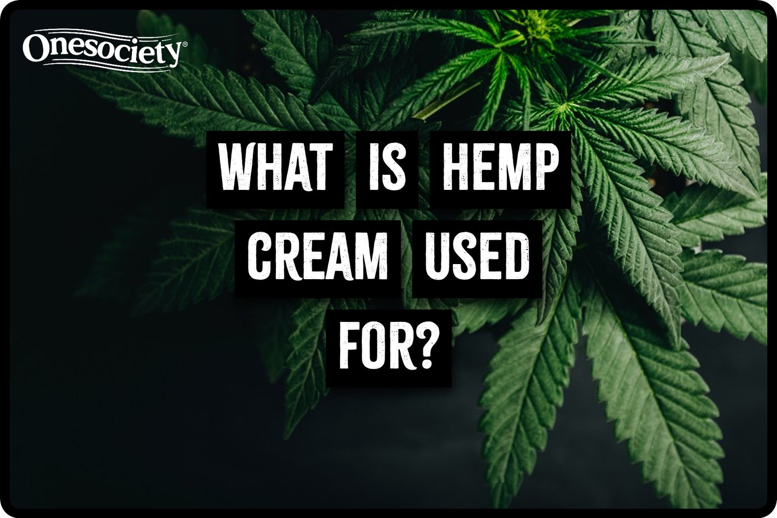 What is hemp cream used for? What are the benefits.