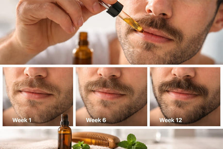 Mustache Oil Growth: Science-Backed Growth in 2026