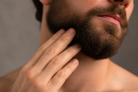 Beard Oil Moisturizer: Science-Backed Hydration Guide