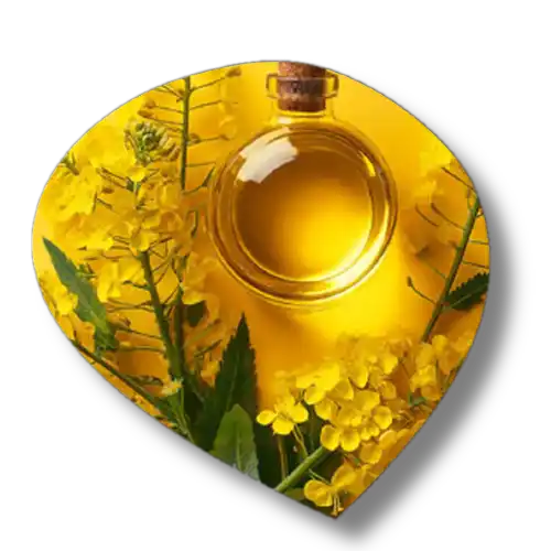 Bis-(isostearoyl/oleoyl isopropyl) dimonium methosulfate big