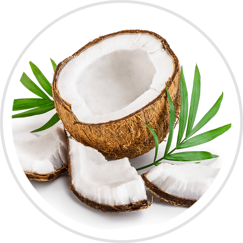 One society Coconut Oil ingredient. Onesociety Beard Care & Men's Grooming Products.