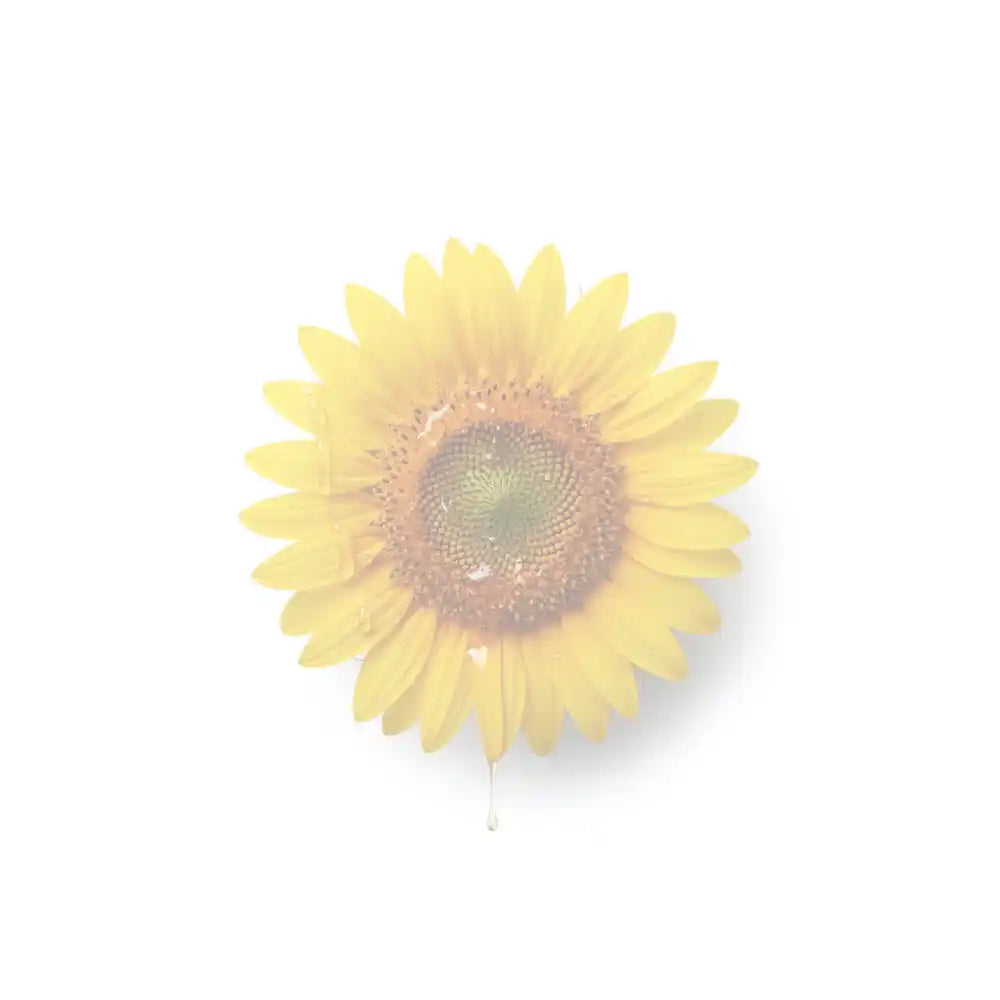 Helianthus Annus (Sunflower) Oil faded