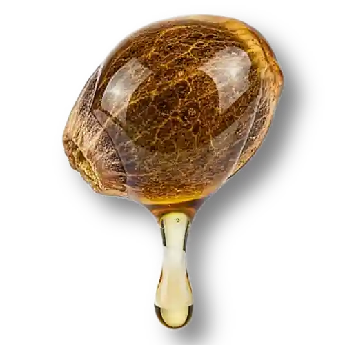 Hemp seed oil 