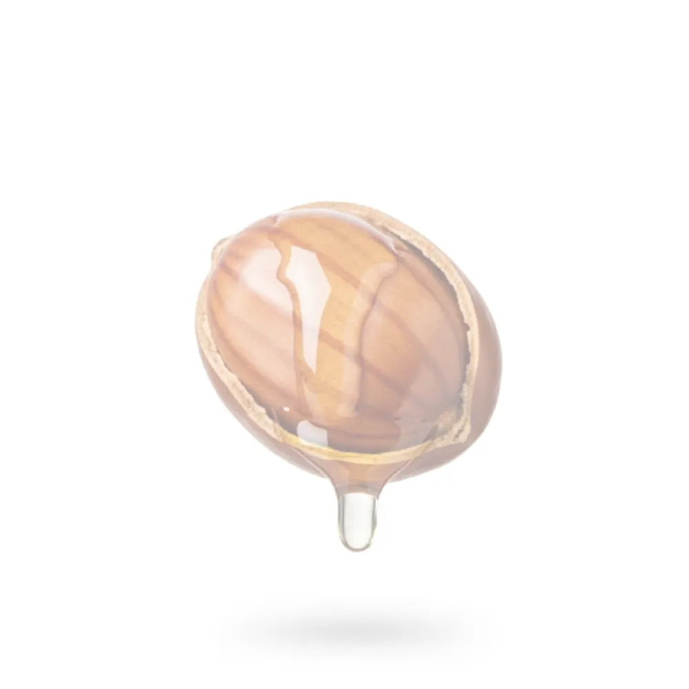 Faded jojoba Nut with jojoba oil coming out on a white background