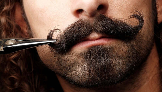 Need the best mustache wax? Try our top-rated mustache wax for a dapper look. Our best-rated mustache wax and good mustache wax are perfect for taming facial hair. Don't miss our good beard wax and best beard wax. Grab the top-rated moustache wax today!