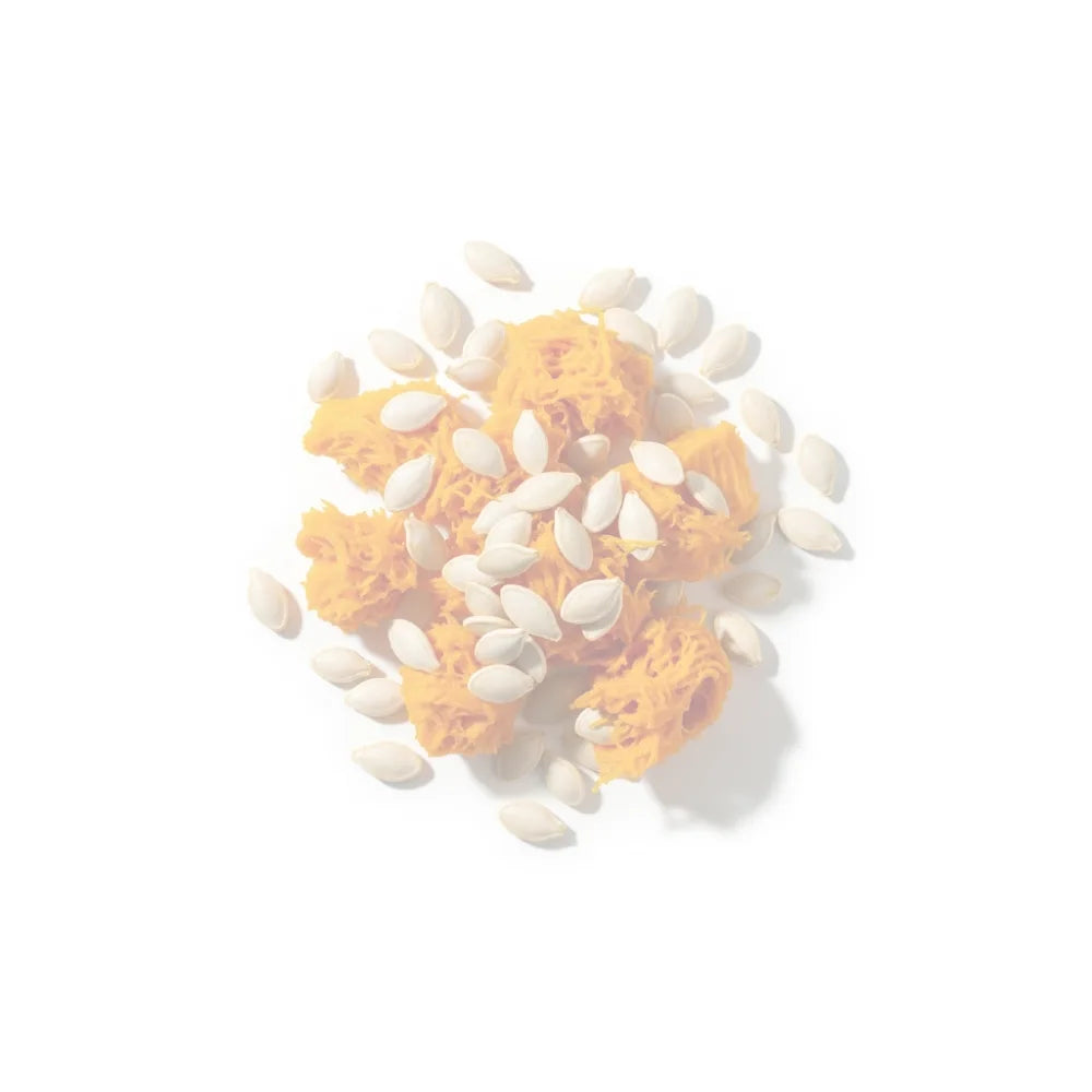 Pumpkin pulp and seeds on a white background