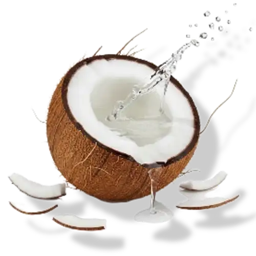 Coconut with water splashing out on a white background