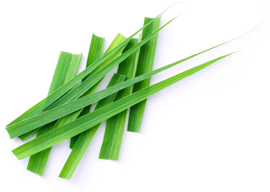 lemongrass essential oil is used in men's grooming products beard butter for natural and vegan friendly ingredients