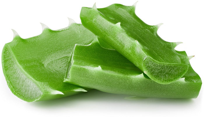 Aloe Vera plant used in mens grooming products beard butter for natural and vegan friendly ingredients