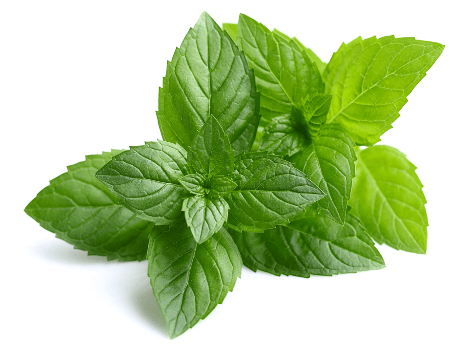 One society peppermint ingredient 